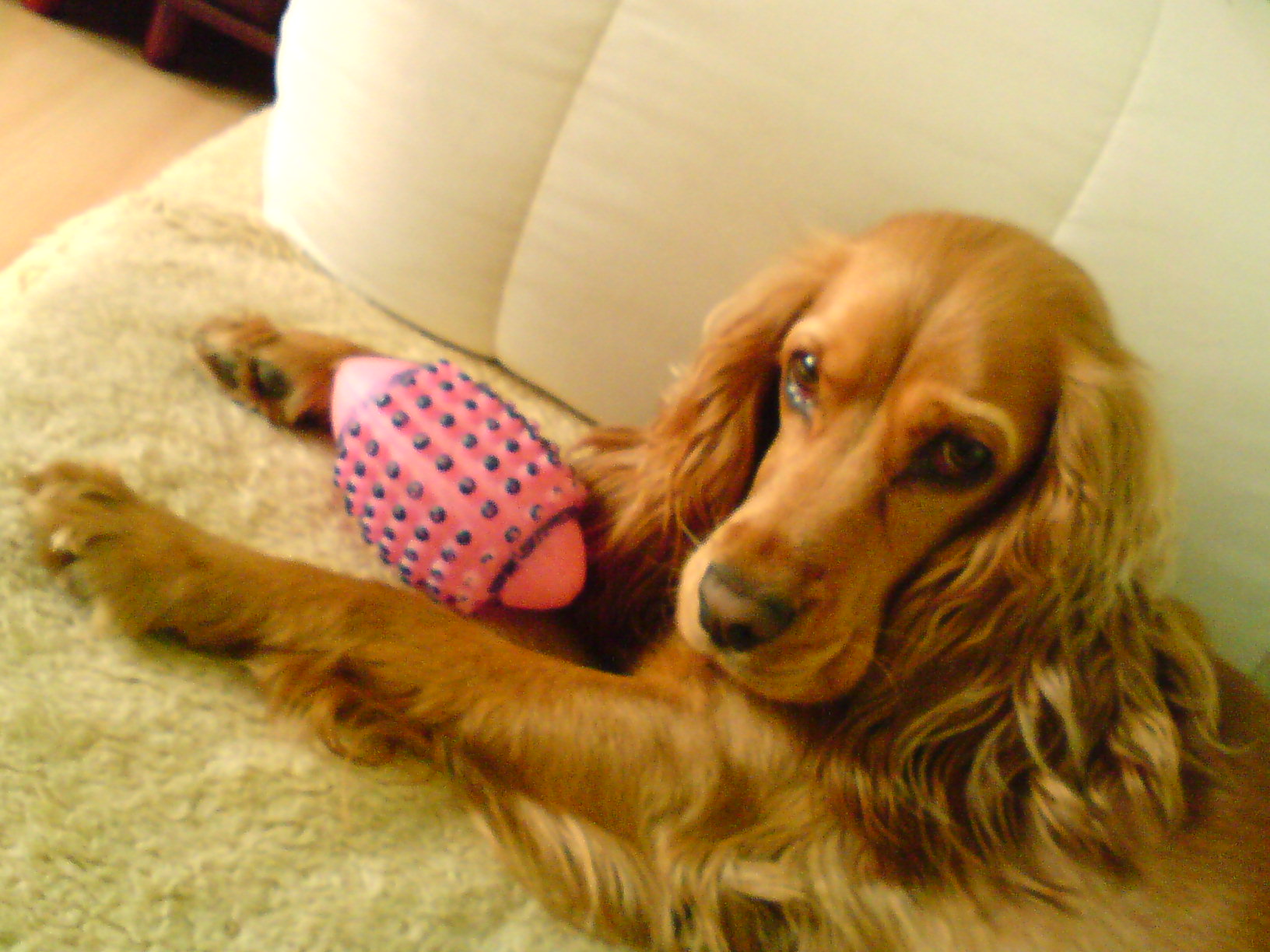 DSC00020.JPG