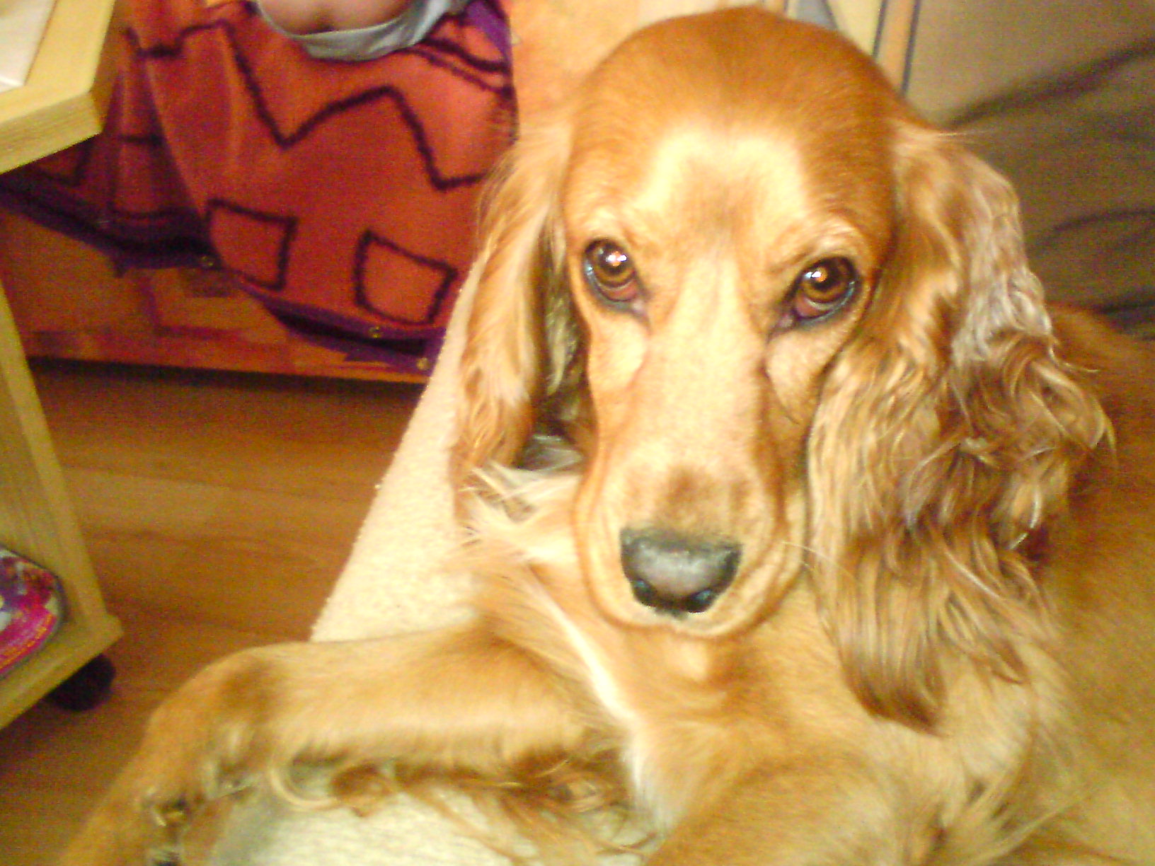 DSC00014.JPG