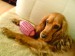 DSC00020.JPG